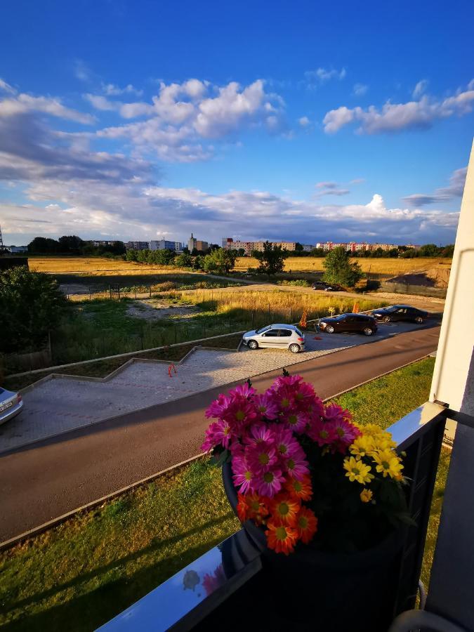 Teo Apartment Braszów Zewnętrze zdjęcie